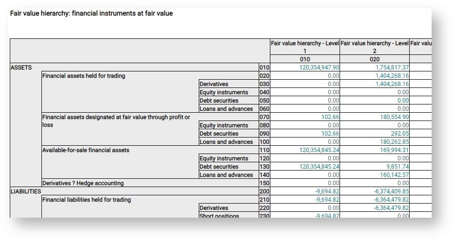 FlexFinance_EN > Accounting Information (Balance Sheet and P&L) > Financial information_2.jpg