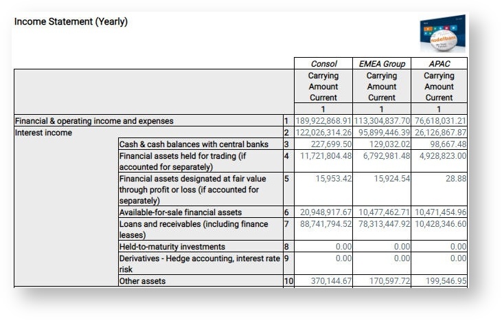 FlexFinance_EN > Accounting Information (Balance Sheet and P&L) > Financial information_3.jpg
